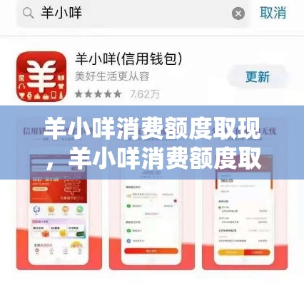 羊小咩消费额度取现，羊小咩消费额度取现aw安诚小铺rw助富掌柜