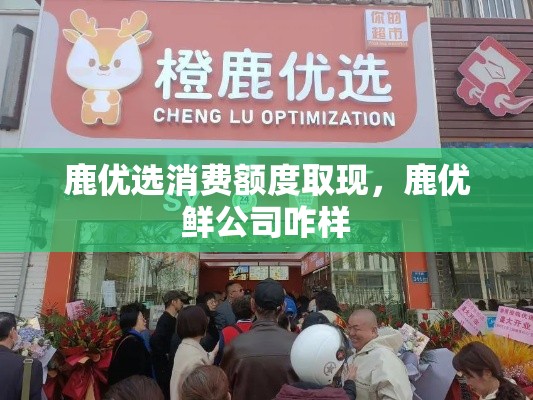 鹿优选消费额度取现，鹿优鲜公司咋样