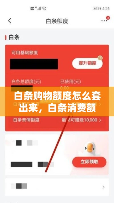 白条购物额度怎么套出来，白条消费额度怎样提现