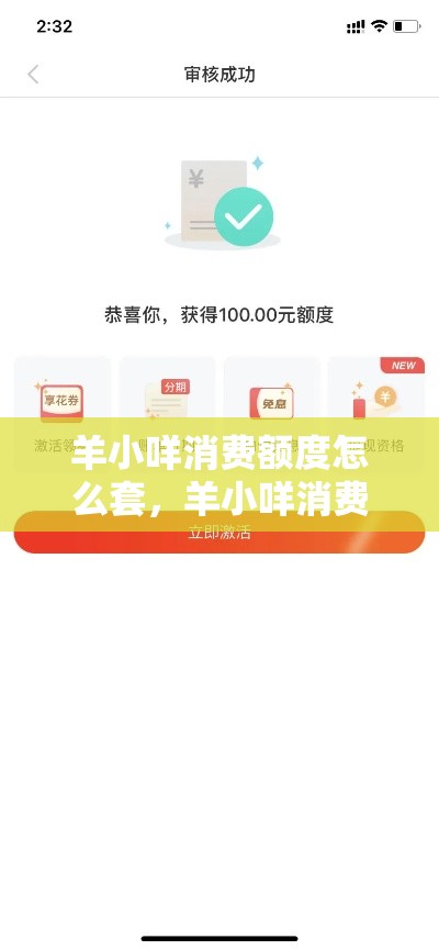 羊小咩消费额度怎么套，羊小咩消费额度套出来