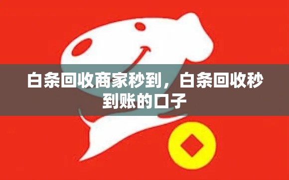 白条回收商家秒到，白条回收秒到账的口子