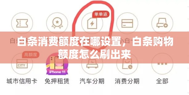 白条消费额度在哪设置，白条购物额度怎么刷出来