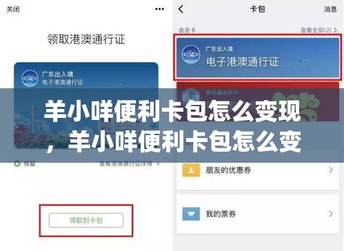 羊小咩便利卡包怎么变现，羊小咩便利卡包怎么变现yx安诚小铺bs助富掌柜