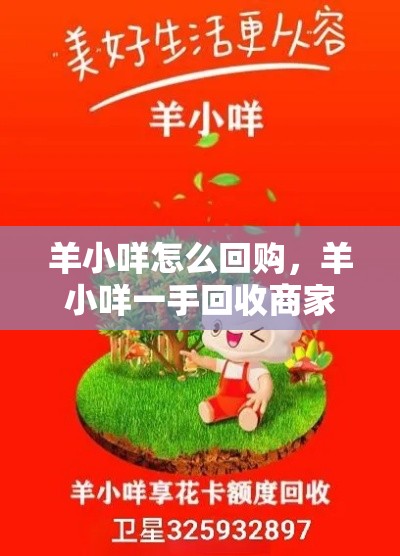 羊小咩怎么回购，羊小咩一手回收商家