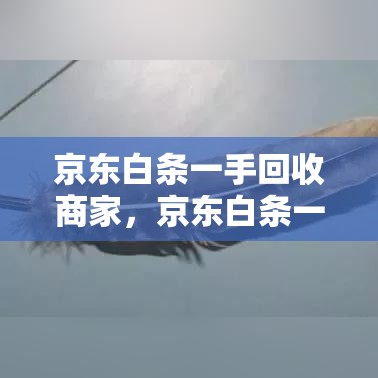京东白条一手回收商家，京东白条一手回收商家能看到吗