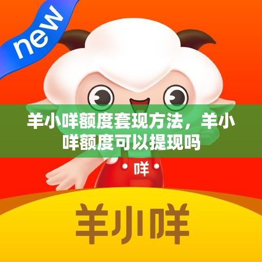 羊小咩额度套现方法，羊小咩额度可以提现吗