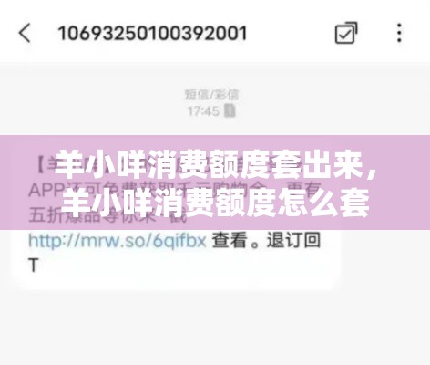 羊小咩消费额度套出来，羊小咩消费额度怎么套