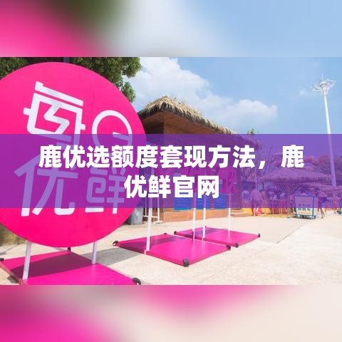 鹿优选额度套现方法，鹿优鲜官网