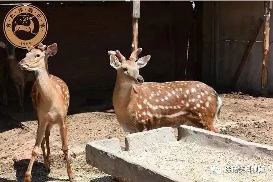 鹿优选怎么提现出来，鹿优鲜创始人