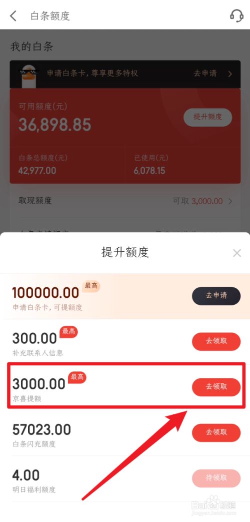白条消费额度怎么套，白条额度怎么刷出来