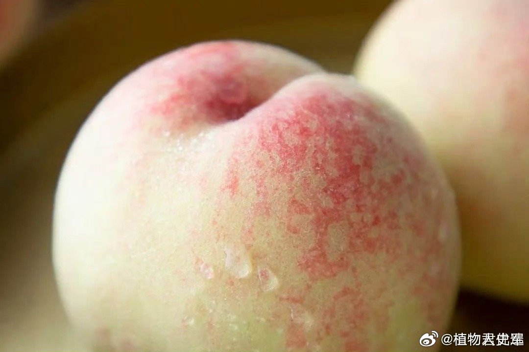 桃买买取现秒到，桃桃买房扫盲20讲视频