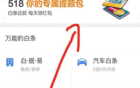 白条购物额度怎么套出来，白条额度怎么刷出来,教程解析
