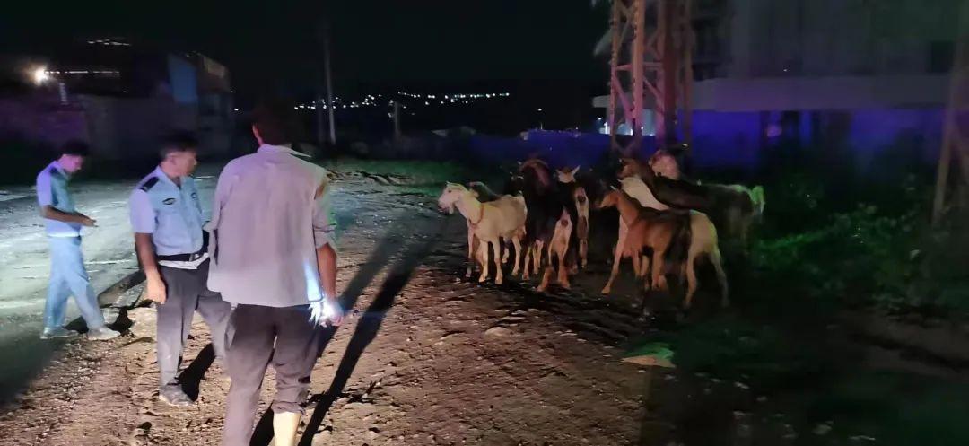 羊小咩提现成功，羊小咩额度提现商家