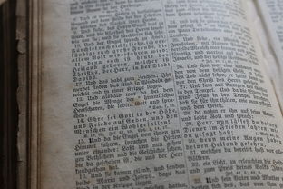 首码“大表哥” 注册占位 T赚收益 支持七级提成