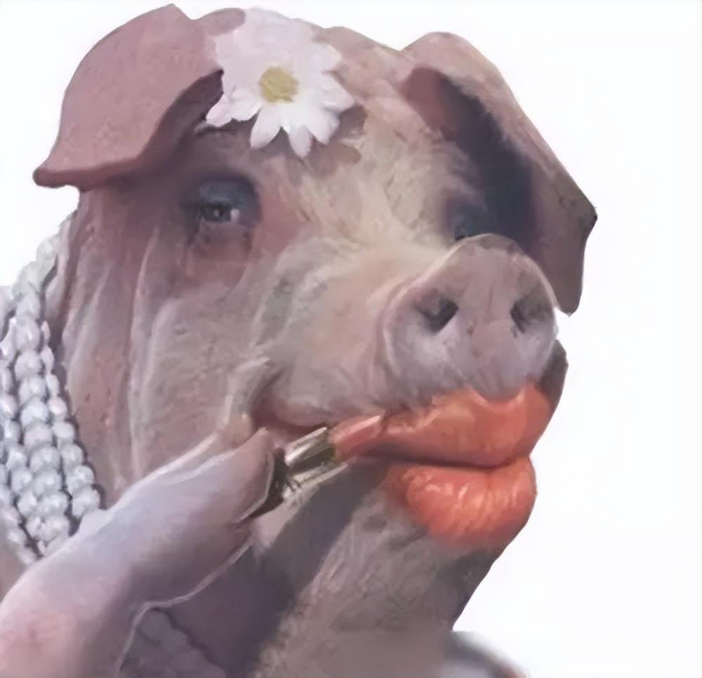 世界上最牛搞笑故事睡前小故事搞笑幽默的10篇世界上最搞笑的笑话前十名