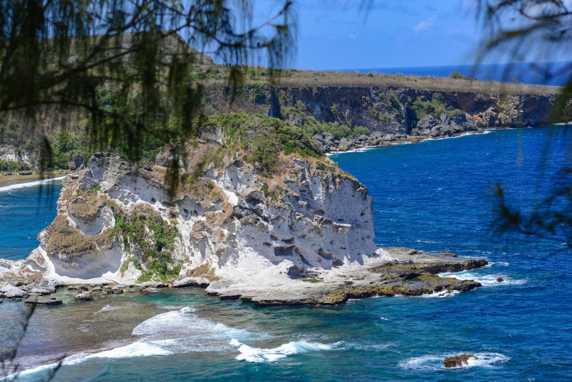 世界上最漂亮海鸟,西沙群岛最美丽鸟是什么鸟'
