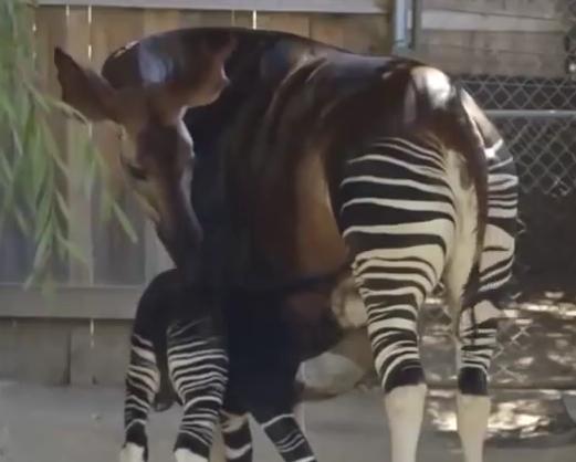 最基础中国风，中国风讲究什么