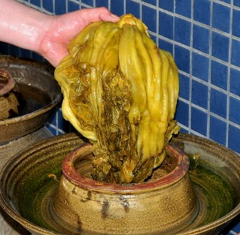 世界上最酸菜（世界上最酸的食物排名）