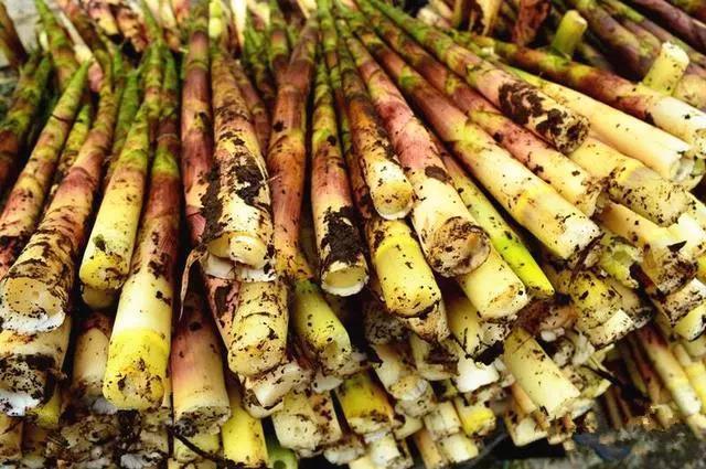 有哪些人渣还流传千古（中国尼姑庵有哪些）