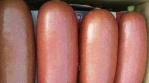 世界上最山寨的香肠（世界香肠排名）