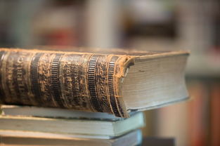 中国有什么进步（中国最大的进步）