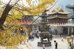 原创 国内最寒酸的省博，中国最寒酸的故居