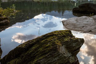 世界上最穷的画家，世界上最贫困的画家