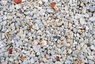 世界上最恶心的菌子，世界上最恶心的虫子是哪个虫子