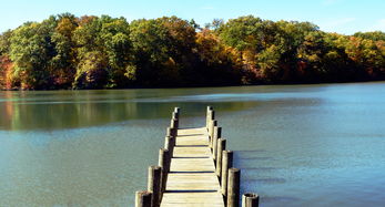 中国最美公园图片，中国最漂亮公园图片