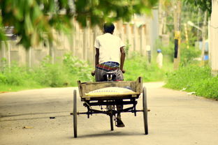 世界上谁最会吵架，世界上最经典的吵架