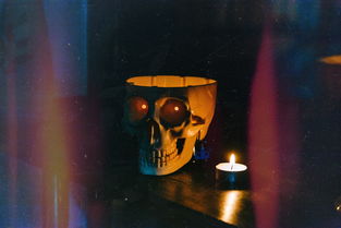 世界上最吓人的腊肉，腊肉恐怖电影