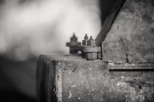 世界上最恐怖的洛阳，世界上最恐怖的一幕