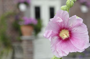 世界上最通透的感悟视频，很通透很精辟的感悟句子