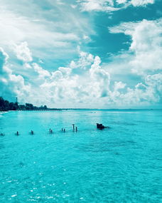 全球最清澈的湖泊,世界上最清纯的湖泊