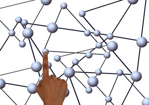 世界上最稀奇的数据,世界上最奇妙的数字