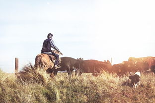 中国射箭最厉害的人,中国最牛射箭