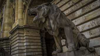 世界上最牛的门,世界上最牛的门将扑救