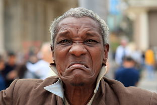 中国人主要人种，中国最典型的人种