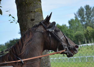 世界上最恐怖的奥秘，世界上十个最恐怖的