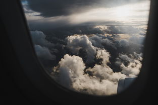 世界上最神奇的奇观，世界上最奇特的神马