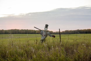 最拉风是什么意思，世界上最拉风的季节