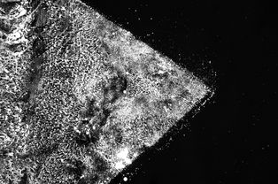 世界上最自然的太空步骤，太空自然资源